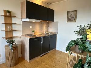 a kitchen with a sink and black cabinets and potted plants at Stora Torget B&B in Eksjö +14 photos