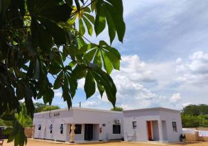 a white building with a tree in the foreground at Raneziah Guesthouse in Kasane