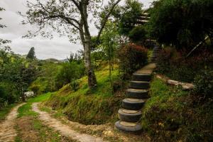 a set of stepping stones on a dirt road at Glamping Bosque del Colibri in Guatavita