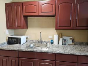a kitchen counter with a sink and a microwave at Oceanfront Views • Balcony + Top Hilo Location in Hilo +46 photos