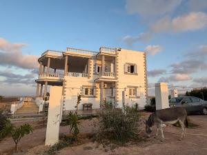 a donkey standing in front of a house at Duplex Villa 4 rooms in Marsa Matruh