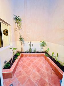 a courtyard with palm trees and plants at sun house tamraght in Tamraght Ouzdar