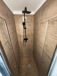 a bathroom with a shower with a shower at Ferienhaus HANA in St. Blasien
