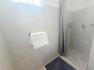 a bathroom with a shower and a white towel at Casa amplia para grupos Remodelada y centrica in Guadalajara +19 photos