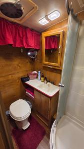 a small bathroom with a toilet and a sink at Edith the Happy Camper in High Springs +13 photos