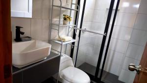 a bathroom with a shower and a sink and a toilet at Böttger Haus in Oxapampa