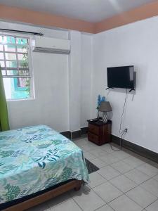 a bedroom with a bed and a flat screen tv at Garden Lodge Hotel in Placencia