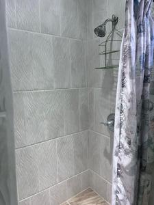 a shower with a shower curtain in a bathroom at Garden Lodge Hotel in Placencia +46 photos