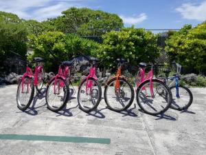 a group of bikes parked in a row at FAKARAVA - Teariki Lodge 2 in Fakarava