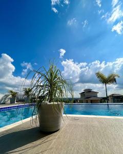 a potted plant sitting next to a swimming pool at Cantinho Solis in Itupeva