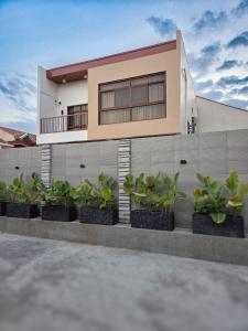 a rendering of a house with plants in front of it at C Urban Villas 2 in Dau