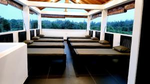 a room with a bunch of beds in a room at Whisker & Waves, Panama in Panama