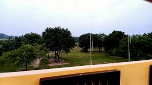 a window with a view of a field of trees at Whisker & Waves, Panama in Panama