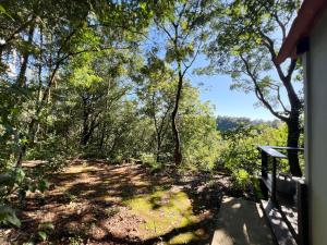 a view from the porch of a house with trees at Casinha Natureza in Brasília