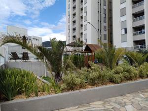 a palm tree in a garden in front of buildings at Céu da Mantiqueira - Staffy House Extrema in Extrema