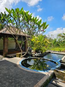 a garden with a pond in front of a house at Lentera Lombok in Tetebatu