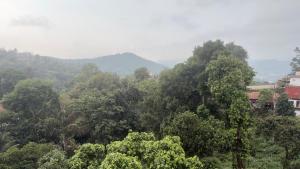 a forest of trees with mountains in the background at Vega tourist lodge in Madikeri