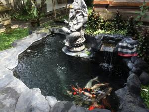 Zahrada ubytování Arsa Homestay & Spa