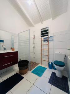 ein Badezimmer mit Toilette, Dusche und Waschbecken in der Unterkunft Paradis des sables B in La Désirade