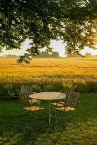 a table and two chairs with a field in the background at Restored House With Art In Österlen in Borrby