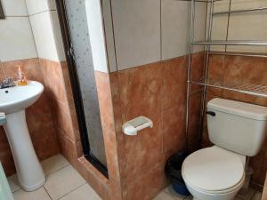 a bathroom with a toilet and a sink at Apartamento 7 Tec in Cartago