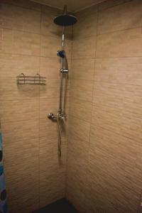 a shower with a shower head in a bathroom at Casa Vanatorului Buzaiel in Vama Buzăului +32 photos