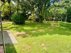 a yard with a tree and green grass at Tree Avenue Villa Dambulla in Galewela