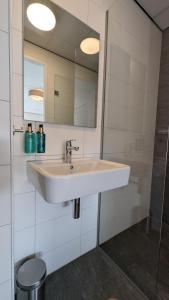 ein Badezimmer mit Waschbecken und Spiegel in der Unterkunft Antonius Hoeve in Oudenbosch + 40 Fotos