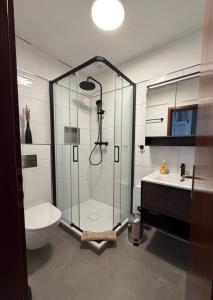 a bathroom with a shower and a toilet and a sink at Ferienwohnung Plaue Auszeit mit Privatstrand und Bootsliegeplatz in Zislow +19 photos