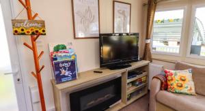 a living room with a tv and a fireplace at Sunflower Retreat in Cresswell