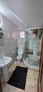 a bathroom with a toilet and a shower and a sink at Pensiune Urban in Borsec