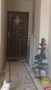 a living room with a christmas tree in front of a door at فينوس in Hurghada