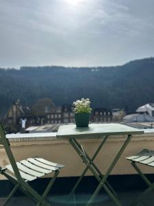 a table with a potted plant on top of a balcony at Residenz Moselliebe Traben in Traben-Trarbach