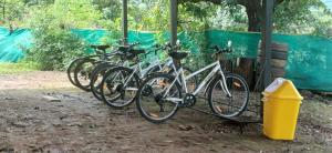 a group of bikes parked next to each other at Home Stay in Arogyam at Mulshi Backwaters in Mulshi +19 photos