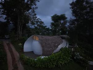 a house shaped like a bear sitting on the side of a road at Earth's Embrace in Kalpetta +27 photos