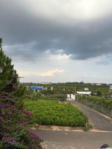 a view of a road with purple flowers at Muối Hồng Homestay in Ấp Tân Hà +16 photos