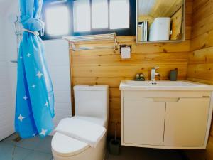 a bathroom with a toilet and a sink at Roben Village in Suseni +58 photos