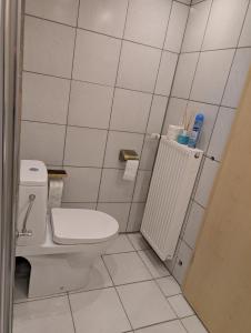 a bathroom with a toilet and a shower at Drive & Dream Nürburgring in Drees +17 photos