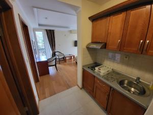 a small kitchen with a sink and a living room at Sunny Hill Apartments & Aqua Park in Vrnjačka Banja