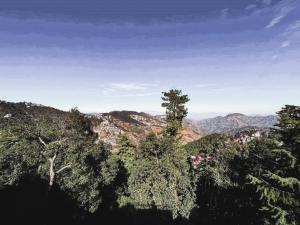 a view of a mountain with trees and a city at Nirvana Rooms - Shimla in Shimla +14 photos