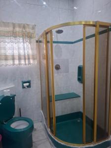 a bathroom with a shower with a green toilet at Nomty House in Durban