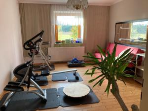 a living room with a treadmill and a plant in it at Huber Hof in Oberrosenauerwald