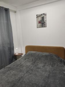 a bedroom with a bed and a picture on the wall at Villa Zora in Star Dojran