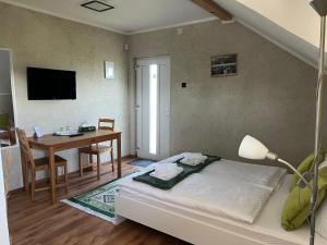a room with a bed and a table with a desk at Pensiunea Andra in Jurilovca
