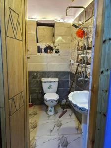 a bathroom with a toilet and a sink at Amir Nile Guest house in Aswan
