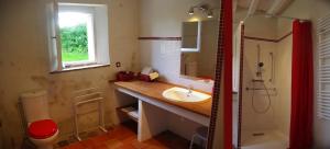 a bathroom with a sink and a shower at Jardin Solstice in Vaupillon