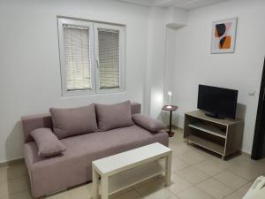 a living room with a couch and a tv at Villa Zora in Star Dojran