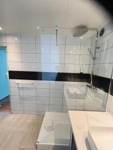 a bathroom with a shower and a sink at Hôtel De La Cathédrale in Reims