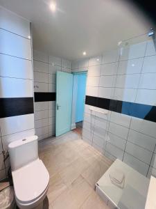 a bathroom with a toilet and a blue door at Hôtel De La Cathédrale in Reims