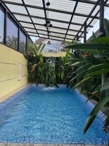 a swimming pool with blue water in a building with plants at Dynz Cottage in Banting +19 photos